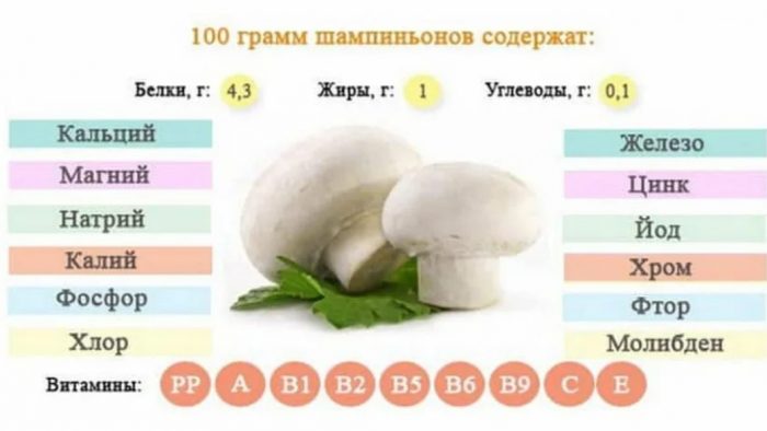 Състав на шампиньоните