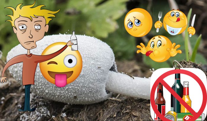 Гъби от тор за алкохолизъм