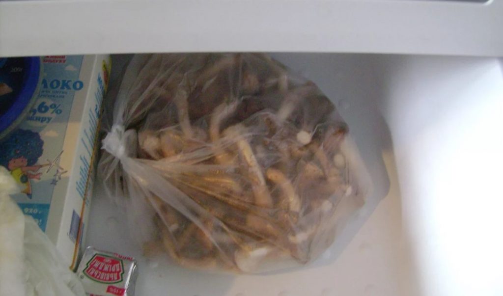 Медени гъби във фризера