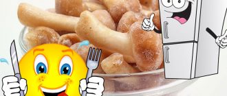 Замразени медени гъби