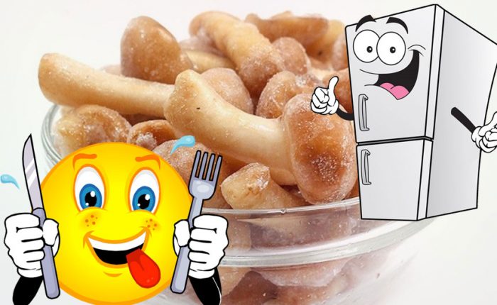 Замразени медени гъби