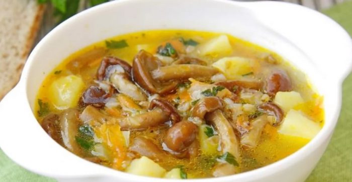 Медени гъби в супа Супа от медени гъби