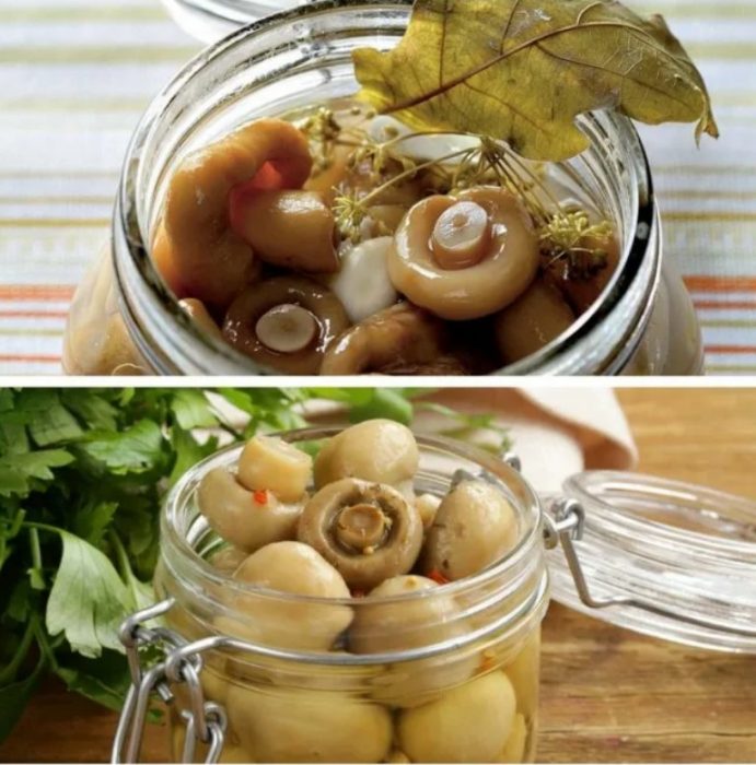 Как да мариноваме шампиньони