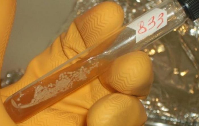 Епруветка за мицел