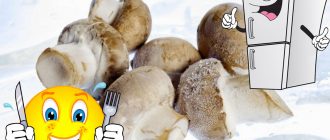 Замразени печурки