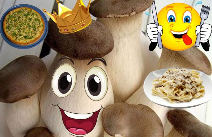 Кралски кладници