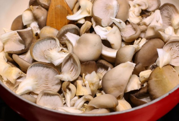 Преработени степни кладници