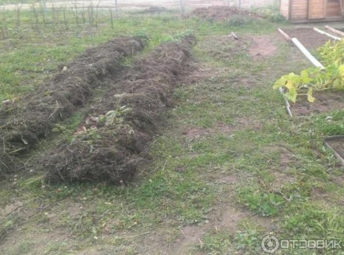 Подготвени легла