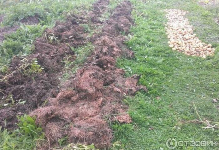 Събраната реколта