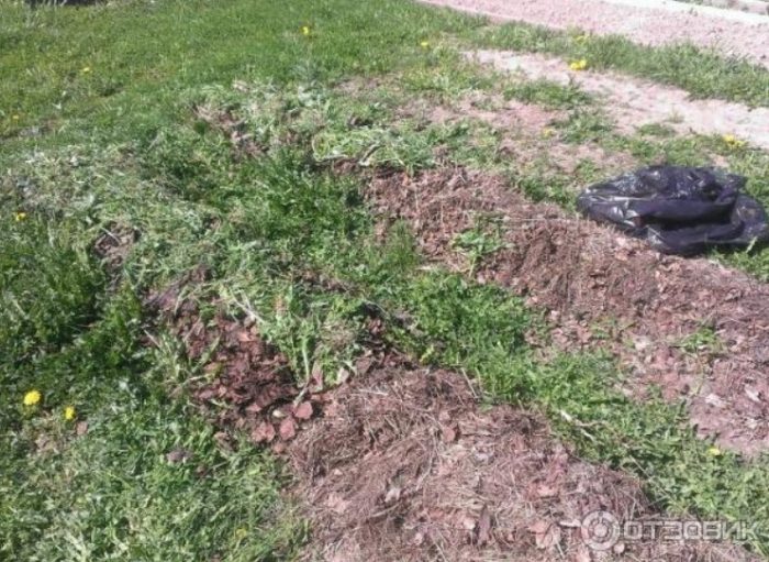 Реколтата може да бъде събрана