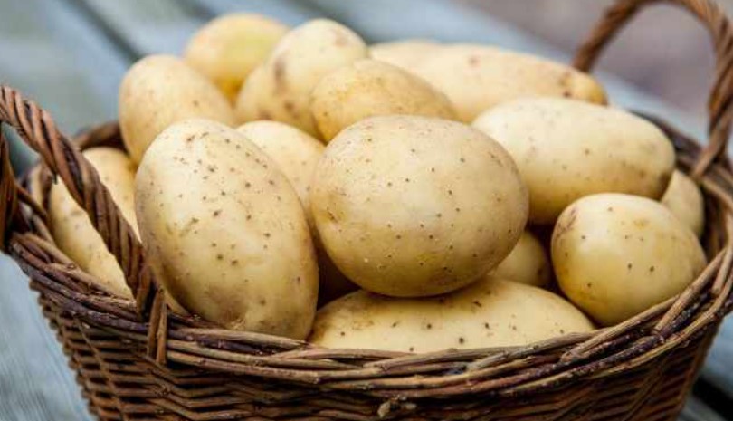 Картофи сорт Ариел в кошница