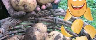 Картофени чипсове Каратоп