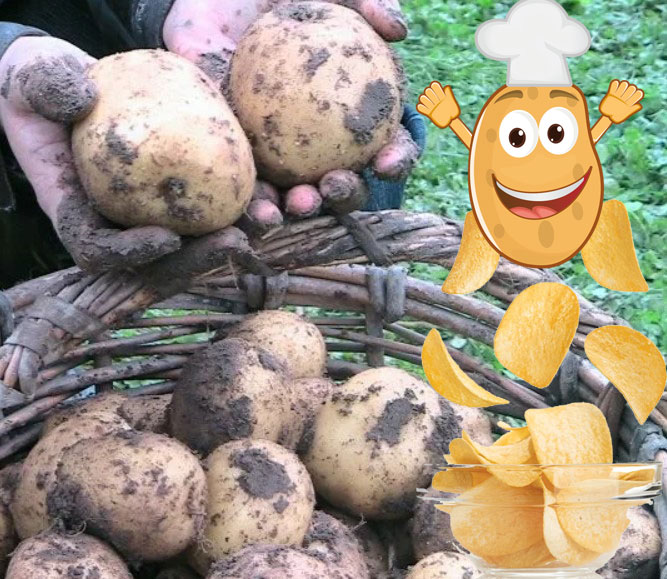 Картофени чипсове Каратоп Картофени чипсове Каратоп