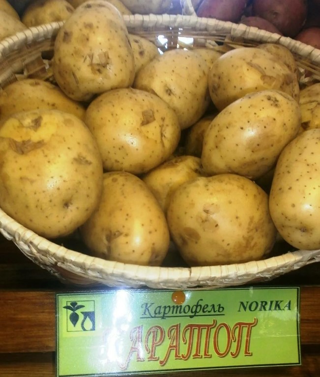 Картофи от немски произход