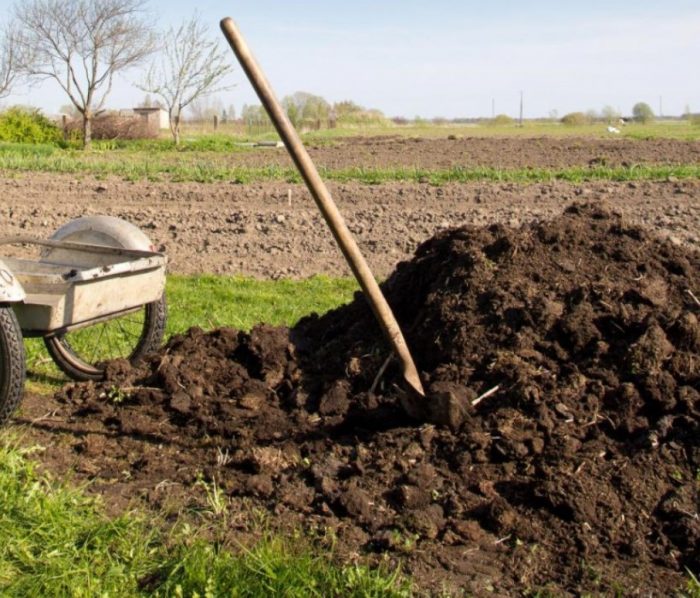 Място за засаждане на картофи Място за засаждане на картофи