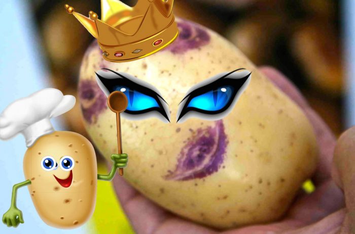 Картофи със сини очи