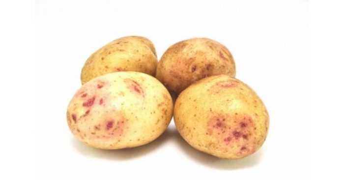 Картофи от сорта Синеглазки