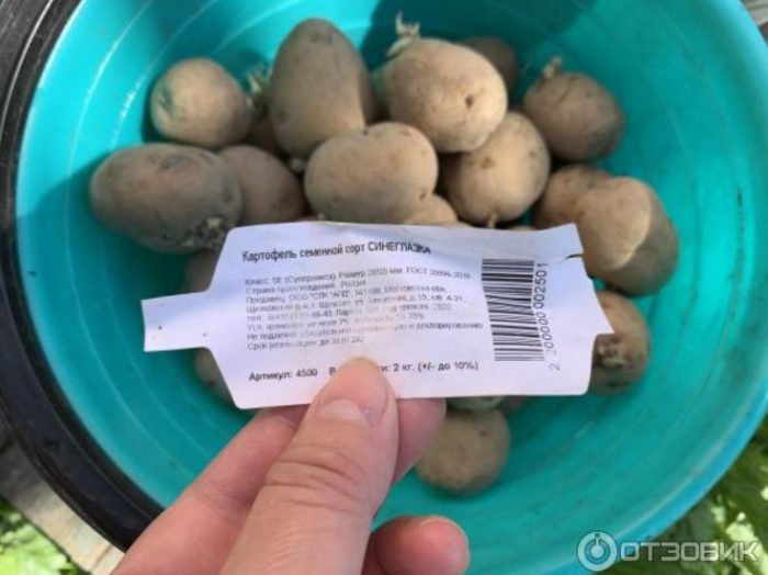 Посадъчен материал