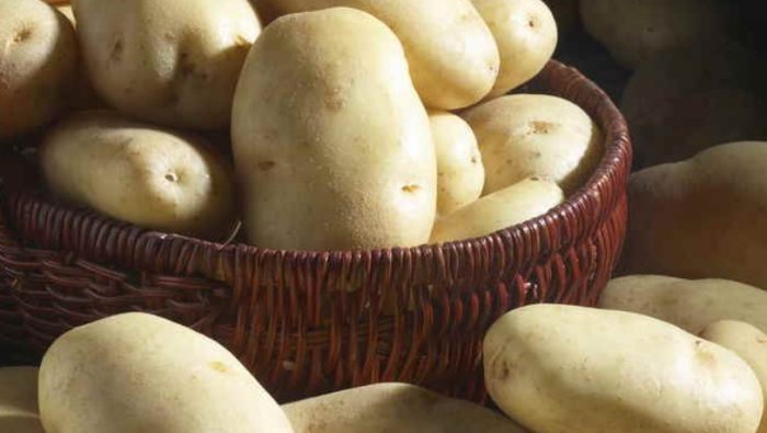 Измити картофени клубени от сорта Чароит