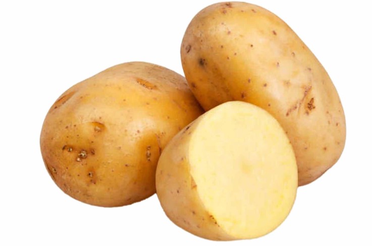 Грудка в разрез