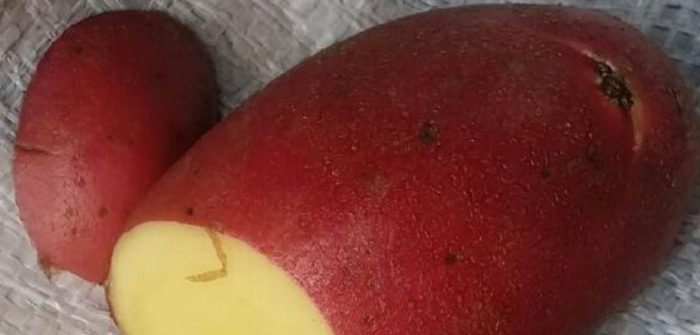 Нарязани картофи