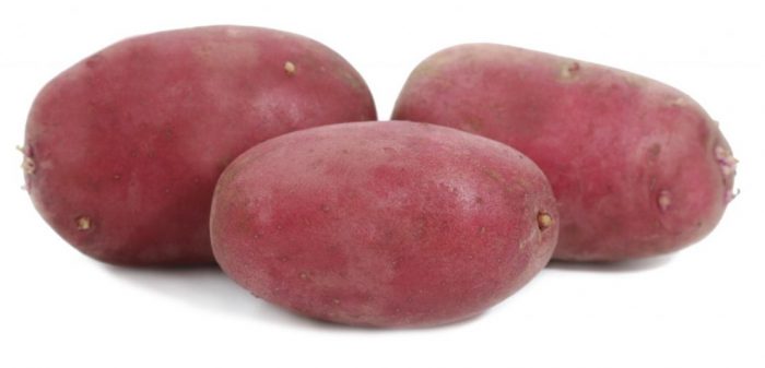 Картофени клубени от сорта Делфин