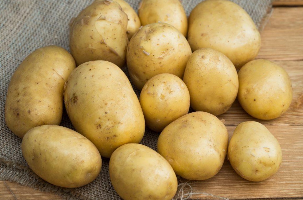 Клубени от сорта Голубизна