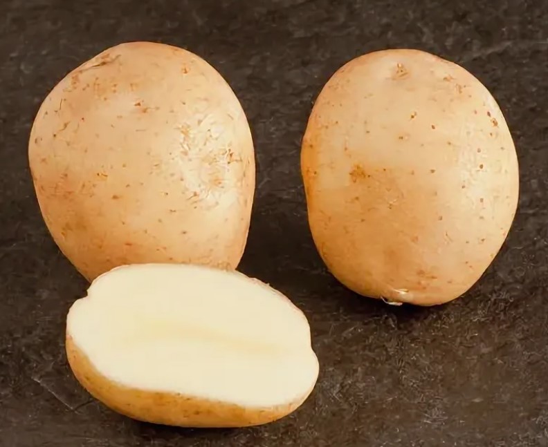 Сорт картофи Лазурит