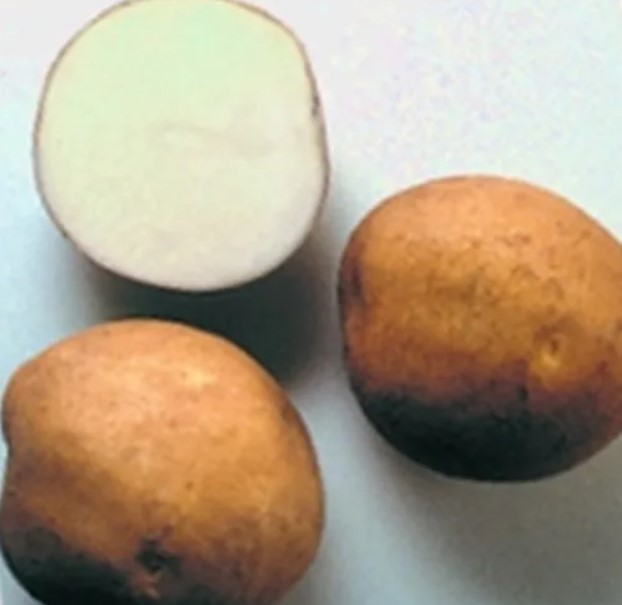 Нарязани картофи Лазурит