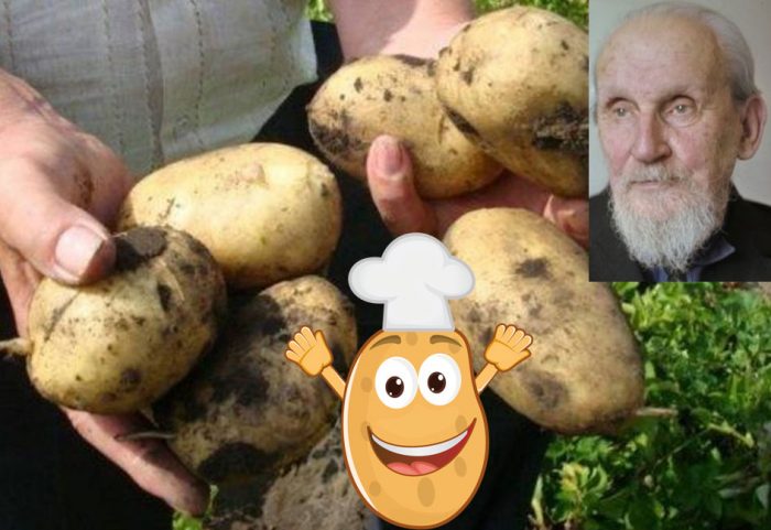 Сорт картофи Лоркх