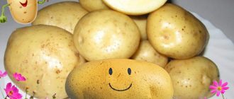 Луговски картофи