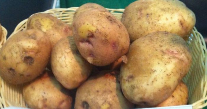 Луговски грудки в кошница