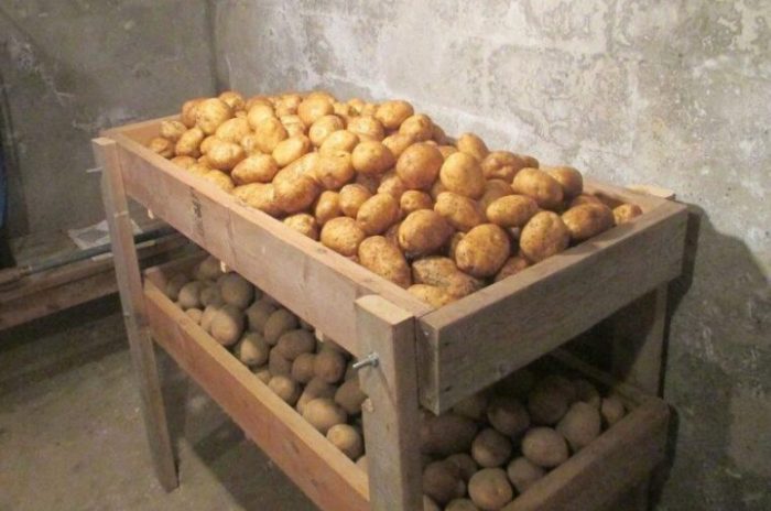 Грудки от Нандина на склад