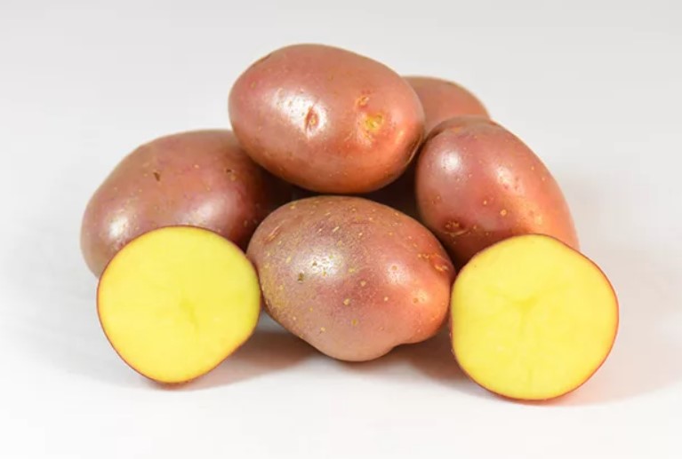 Сорт картофи Червена Соня в напречно сечение