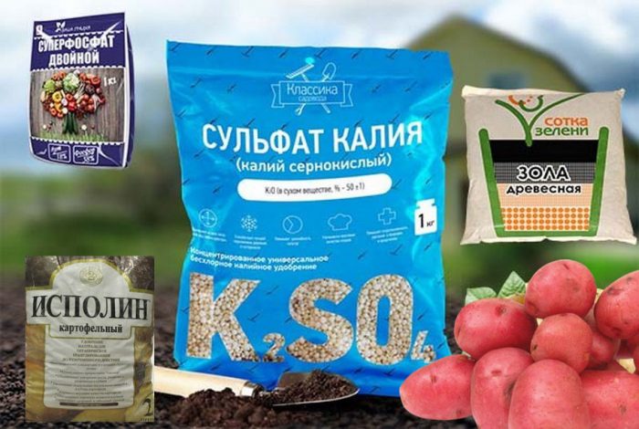 Торове за картофи