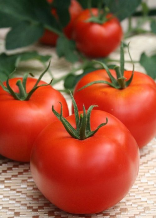 Домат Татяна плодове