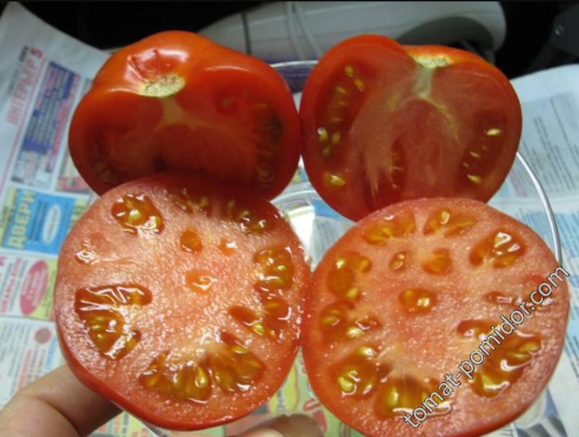 Домат Татяна в секция