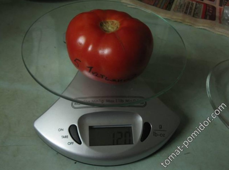 Домати на кантара