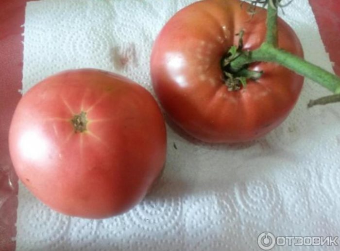 Зрели домати