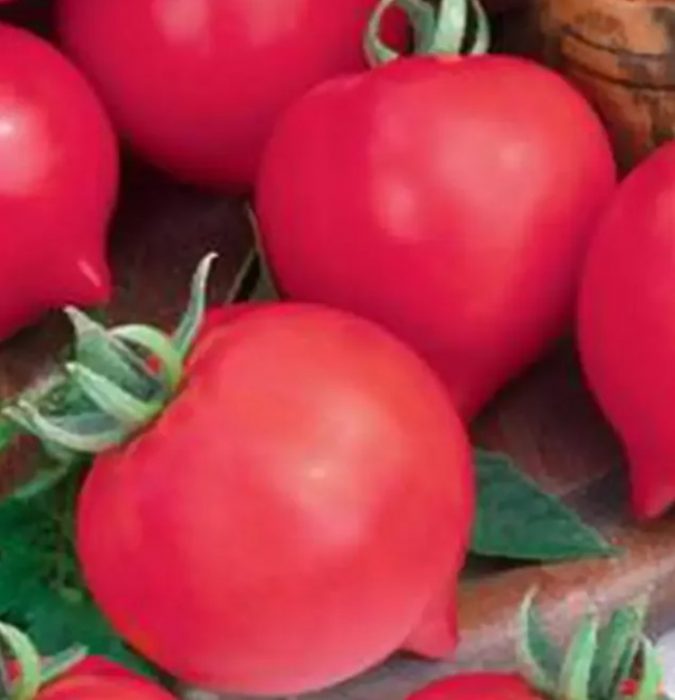 Зрели плодове