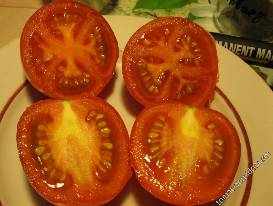 Домати Voyage в разрез