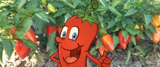 Храсти на открито