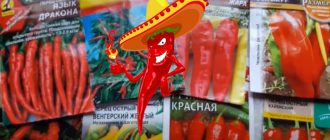 Сортове люти чушки