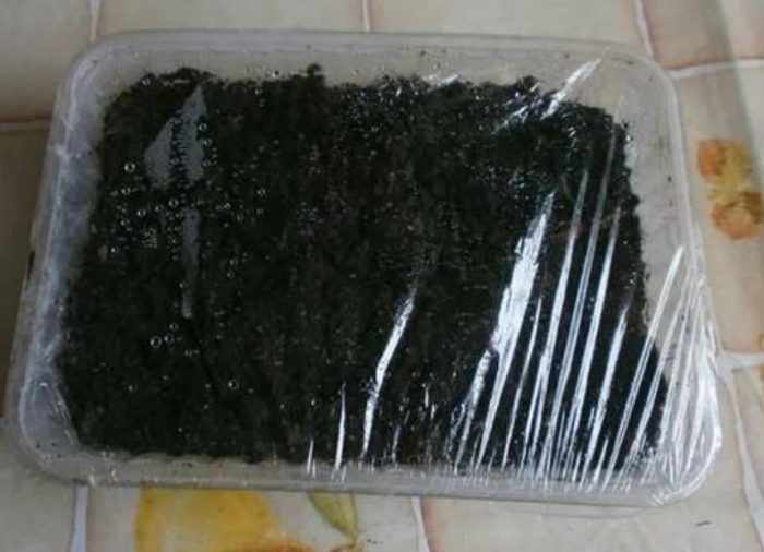 Покриване на културите с фолио