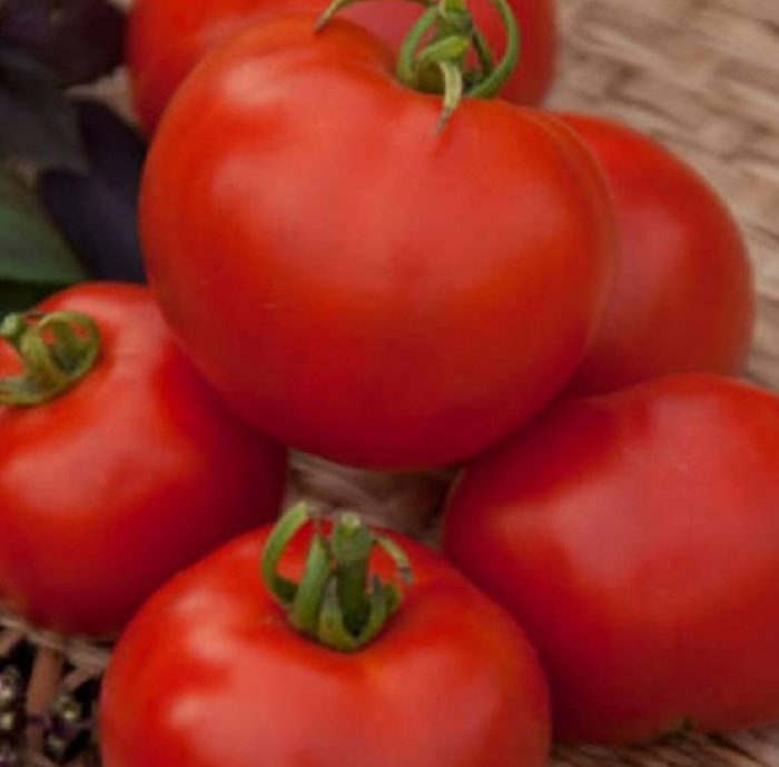 Καρποί της ποικιλίας Αφροδίτη