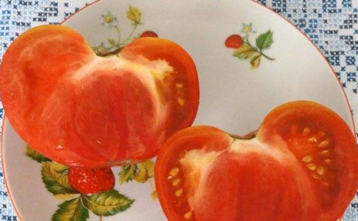 Нарежете плодовете в чиния Плодове в разрез