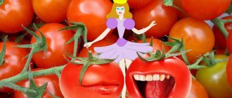 Сорт чери домати, наречен Палечка