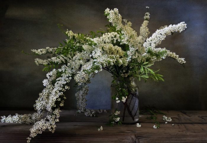 Спирея в букет