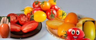 Два цвята от сорта Буян