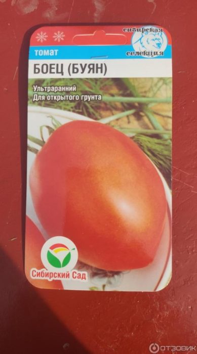 Снимка на плода Боец (Буян)